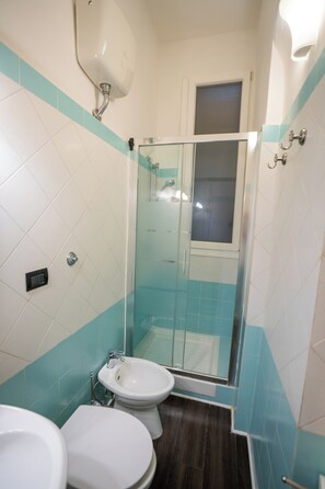 Shower, hair dryer, bidet, towels