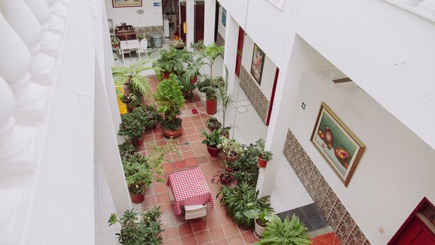 Un patio con una mesa a cuadros, plantas en macetas y piso de baldosas.
