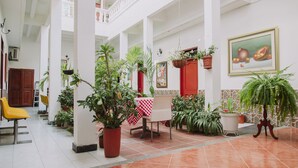 Un espacio interior amplio con suelo de baldosas, una mesa con estampado rojo y blanco a cuadros, varias plantas en macetas y una silla amarilla.