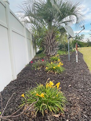 Terrain de l’hébergement 