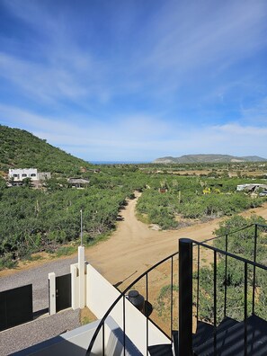 المنطقة المحيطة بالمنشأة