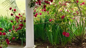 A garden with flowering plants and a white column.