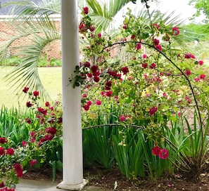 Un jardin agrémenté de plantes en fleurs et orné d’une colonne blanche.