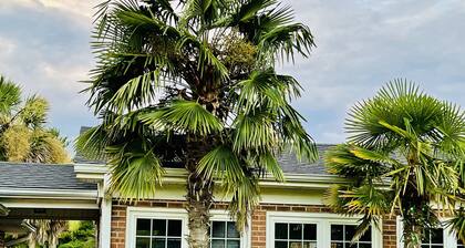 COTTAGE SWEET COTTAGE