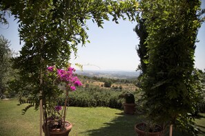 A garden with potted plants and a view of a distant landscape.
