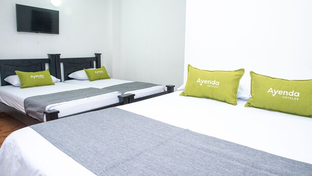 A hotel room with two beds, each with a grey bedspread and green pillows labeled "Ayenda Hotels". - Ayenda 1609 Hotel Arrecife Caribeño (Santa Marta)