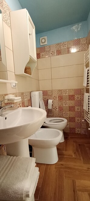 Regadera, secadora de cabello, bidet, toallas 