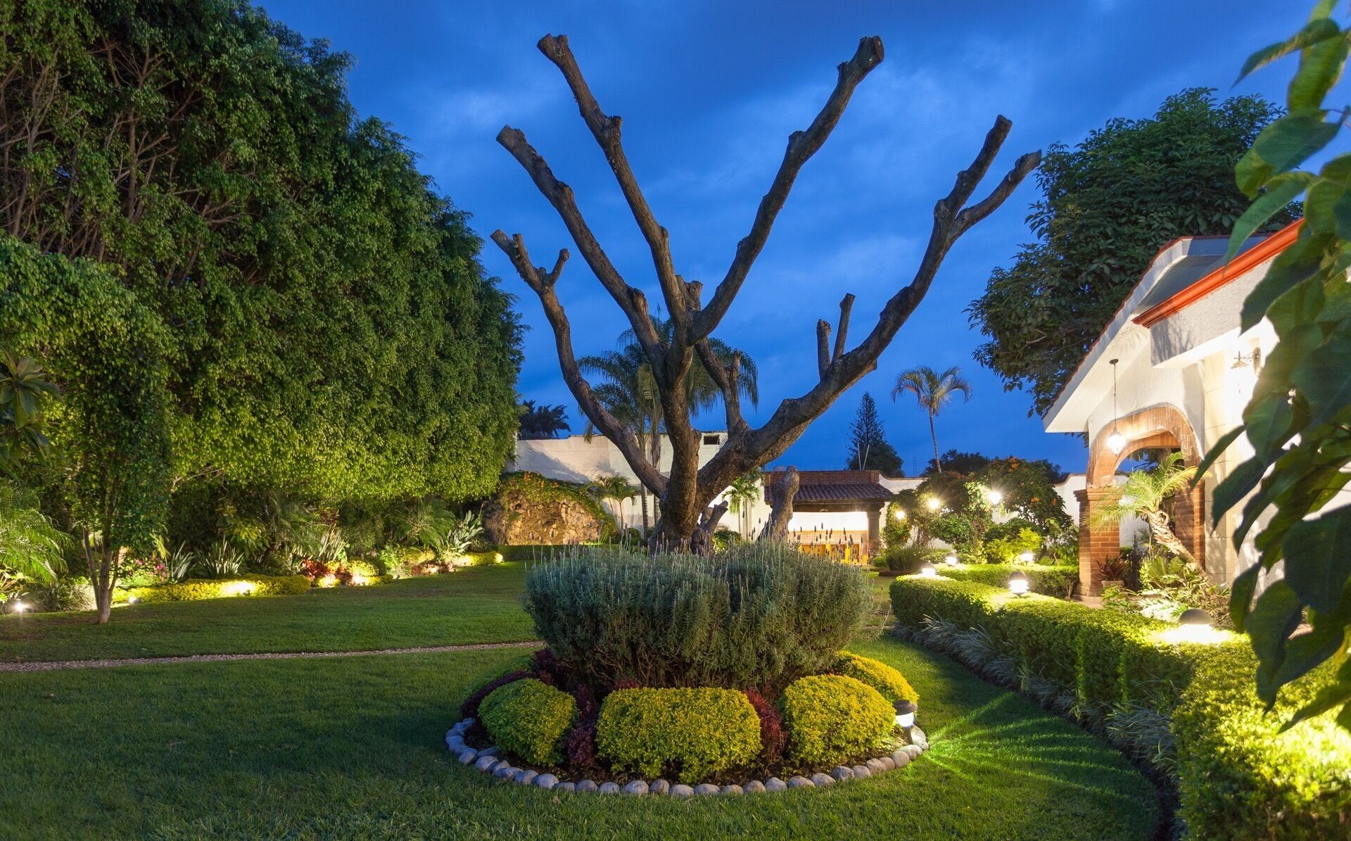 إطلالة على الحديقة