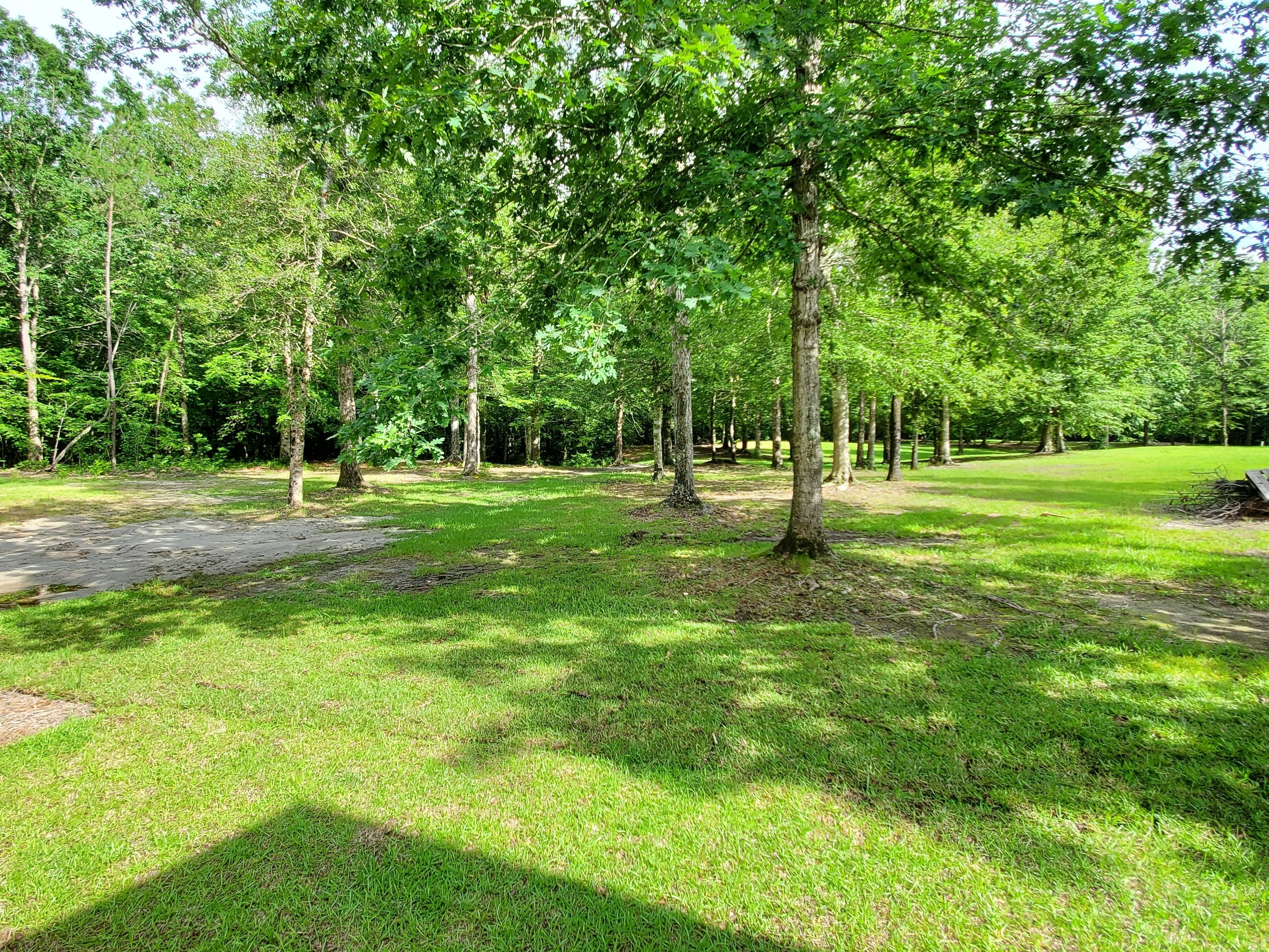 Un parc avec un chemin pavé, des pelouses et des arbres.