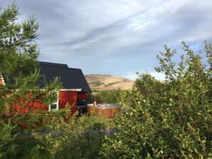 Jardí