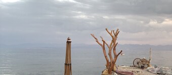 El Gammal Boutique camp