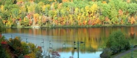 Ein See, umgeben von Herbstlaub, mit einem Weg und einem Steg.