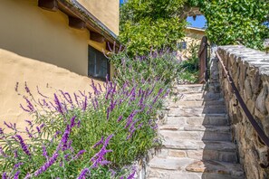 House, 1 King Bed, Ocean View (LX41: Ocean View Historic Villa) | Property grounds - Lx41: Ocean View Historic Villa (Carmel)