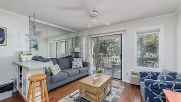 Smart TV, DVD player, books, video library