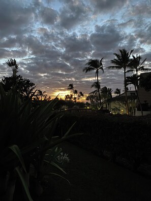 Property grounds - Luxurious One Bedroom, Two Bath Condo in South Kihei; Sleeps 4 (Kihei)