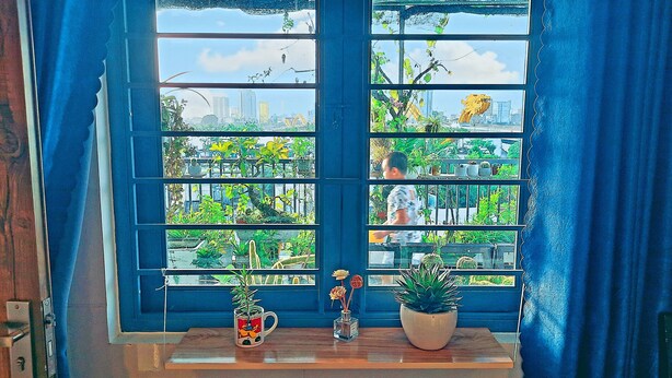 Une fenêtre à carreaux, une étagère en bois ornée de plantes en pot et une vue sur un paysage urbain avec des bâtiments et de la verdure.