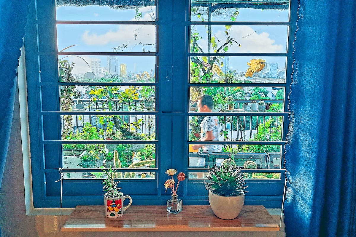 A window with multiple panes, a wooden shelf with potted plants, and a view of a cityscape with buildings and greenery.