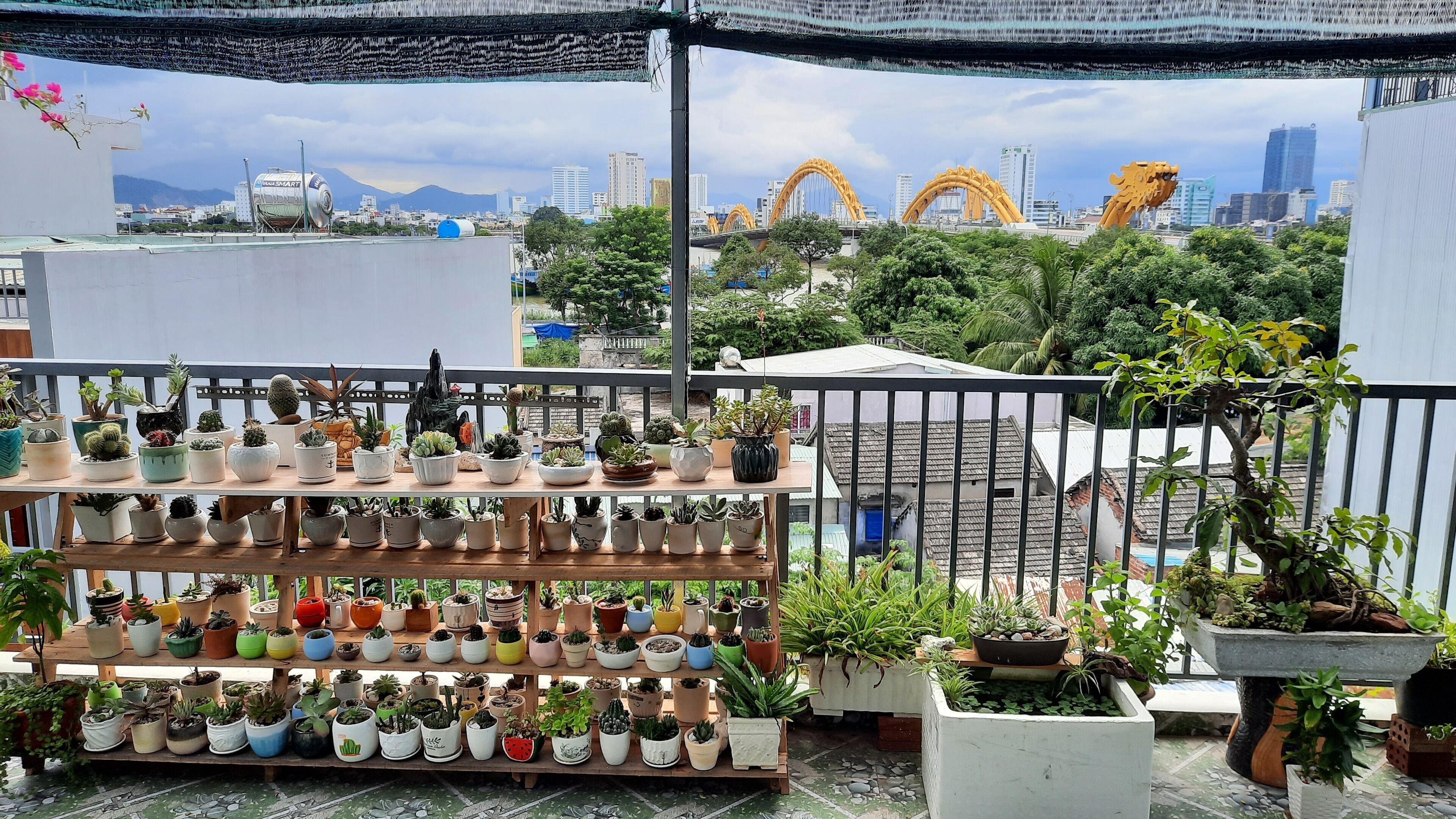 파노라믹 더블룸 | 객실에서 보이는 전망