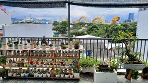 Un jardin sur le toit, agrémenté de diverses plantes en pot, d’où l’on peut admirer une vue sur la ville, notamment un pont à arc jaune remarquable.