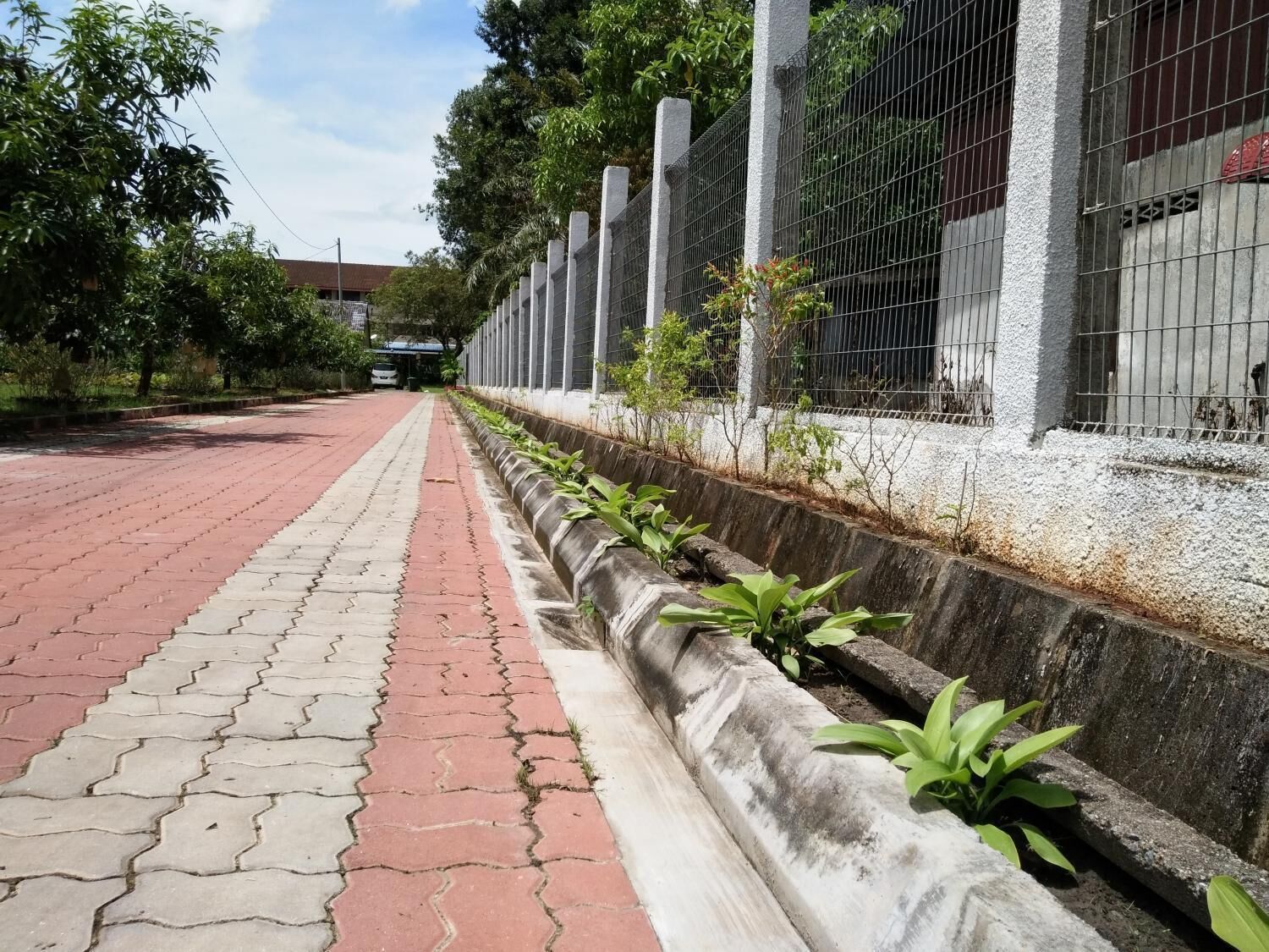 A paved pathway with a concrete curb and small plants.