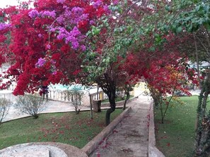 Área da propriedade