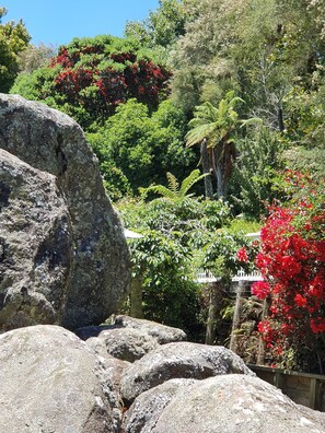 Garden - Hunua Stay (Hunua)