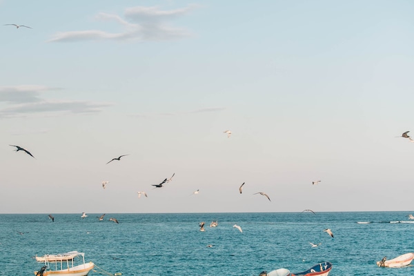 On the beach, white sand, beach cabanas, beach towels