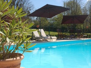 Une piscine entourée de verdure, avec des chaises longues et des parasols.