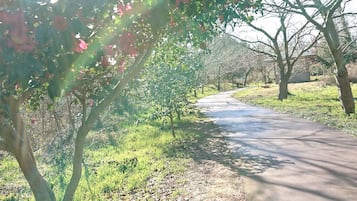施設の敷地