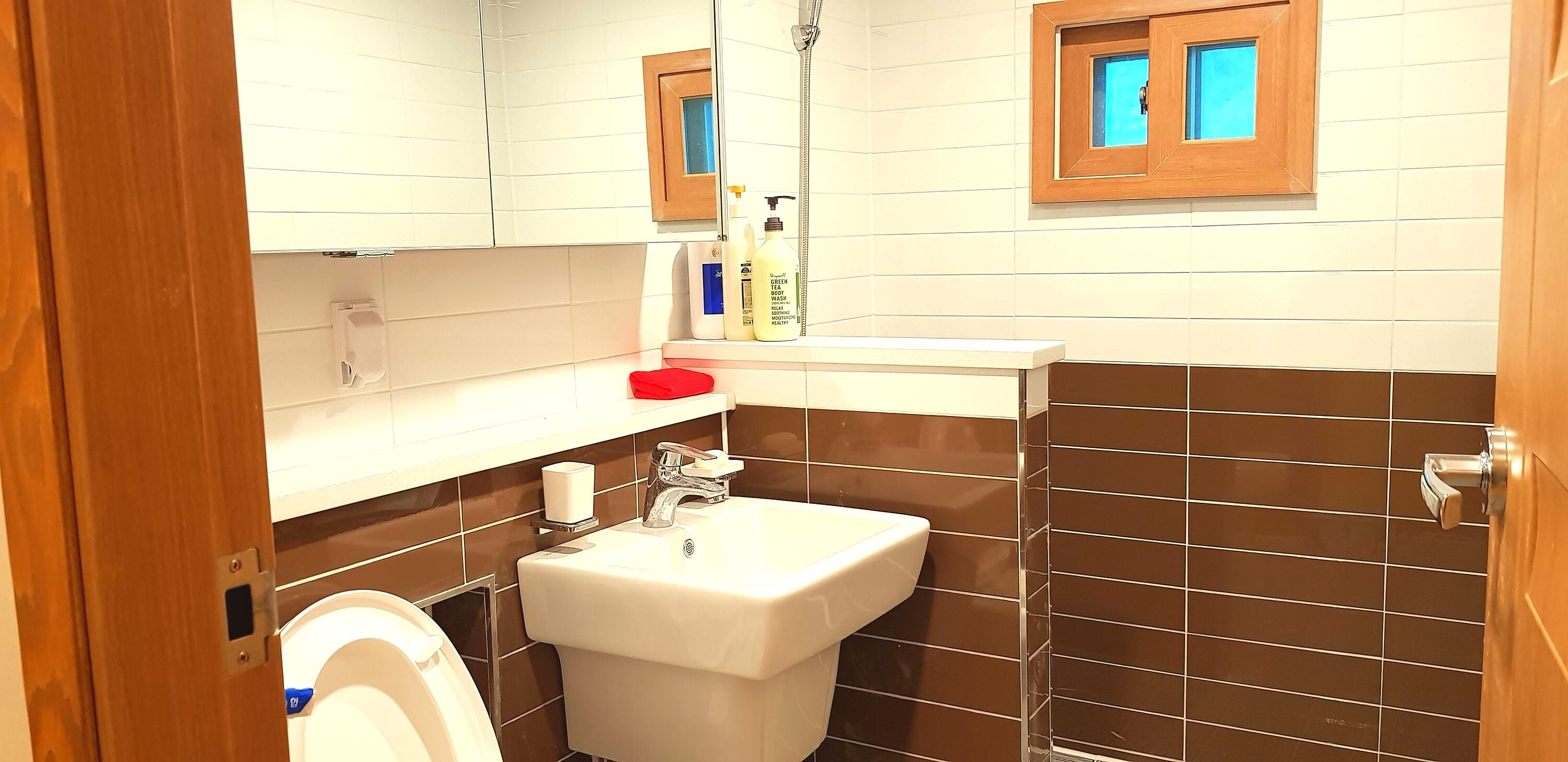 Un baño con lavamanos blanco, un espejo, inodoro y ducha.