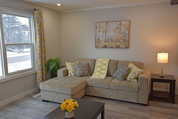 Smart TV, fireplace, books