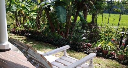 Field island villa Ahangama