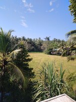 Habitación Deluxe | Terraza o patio