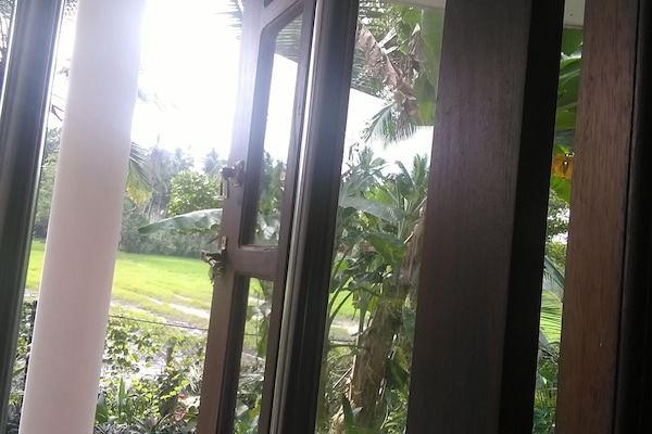 Quarto luxo | Terraço/pátio