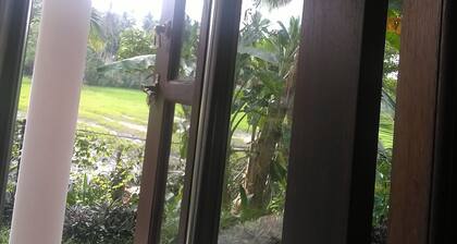 Field island villa Ahangama