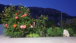 A garden with flowering plants and a rock. - Apartment in Gata with Terrace, Air condition, WIFI, Washing machine (4893-1) (Gata)