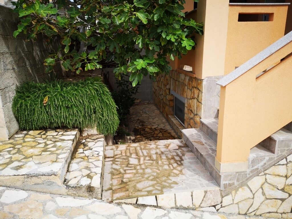 A stone pathway leading to a building entrance with a small bush and a tree.