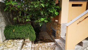 Un sentiero in pietra conduce all'ingresso di un edificio, con un piccolo arbusto e un albero.
