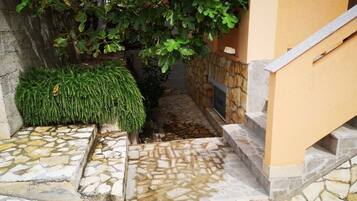 A stone pathway leading to a building entrance with a small bush and a tree.