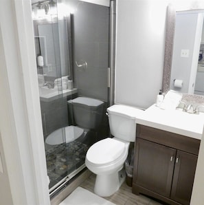 Shower, hair dryer, towels, shampoo
