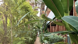 A wooden pathway flanked by lush tropical plants, leading to a wooden building with balconies. - The Stay Chaweng Beach Resort (Koh Samui)