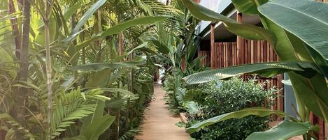 A wooden pathway flanked by lush tropical plants, leading to a wooden building with balconies.