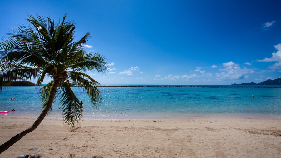 The Stay Chaweng Beach Resort