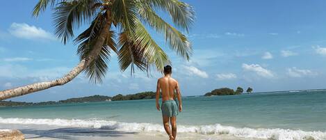 A man walking on a beach with a palm tree and a view of the ocean.