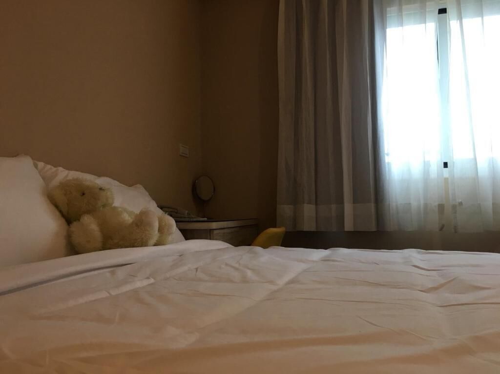 A hotel room with a bed, a teddy bear, a nightstand, and a window with curtains.
