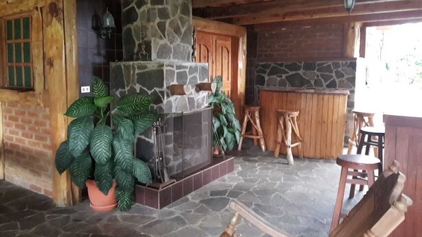 Een rustiek interieur met een stenen openhaard, houten meubels en een grote potplant.
