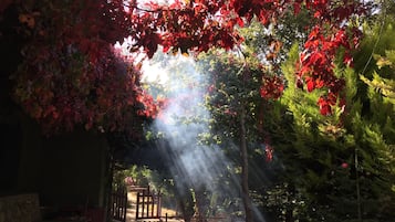 Àrea exterior de l'allotjament