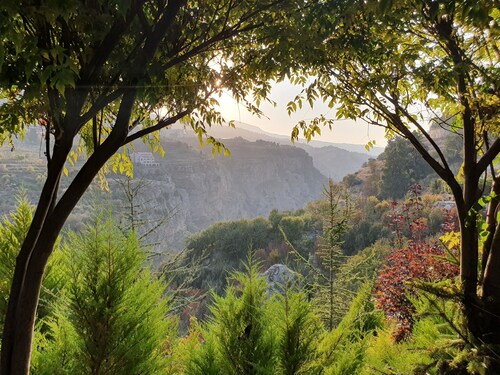 SEQUOIA GUESTHOUSE  