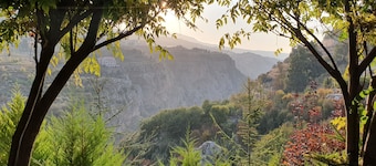 SEQUOIA GĂ€sthus