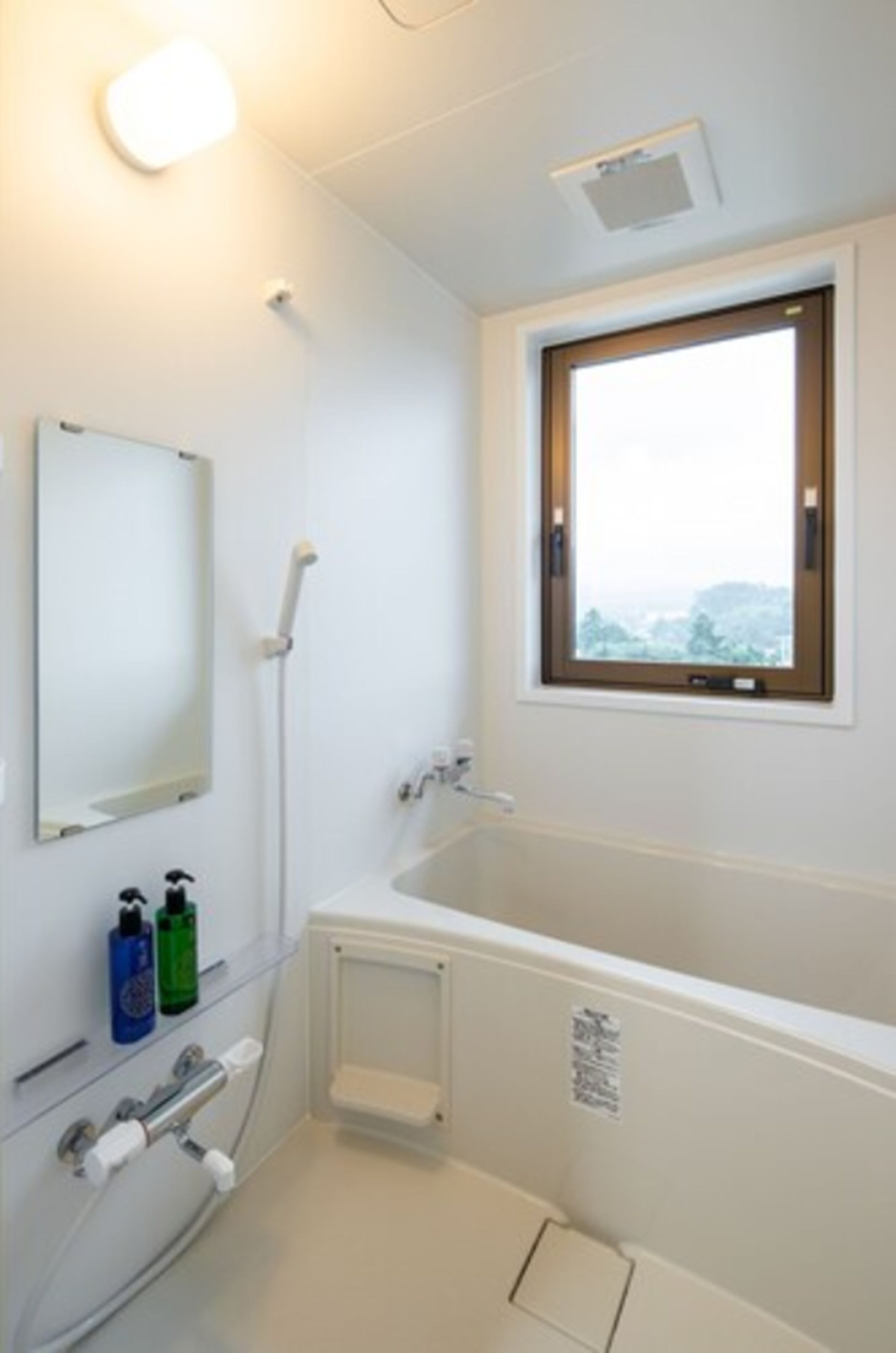 separate bathtub and shower, free toiletries, hair dryer, slippers